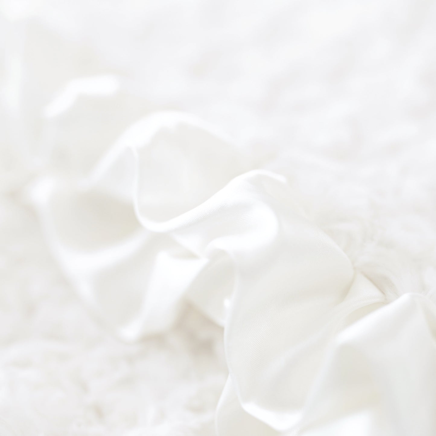 Baby Ruffle Dog Blanket