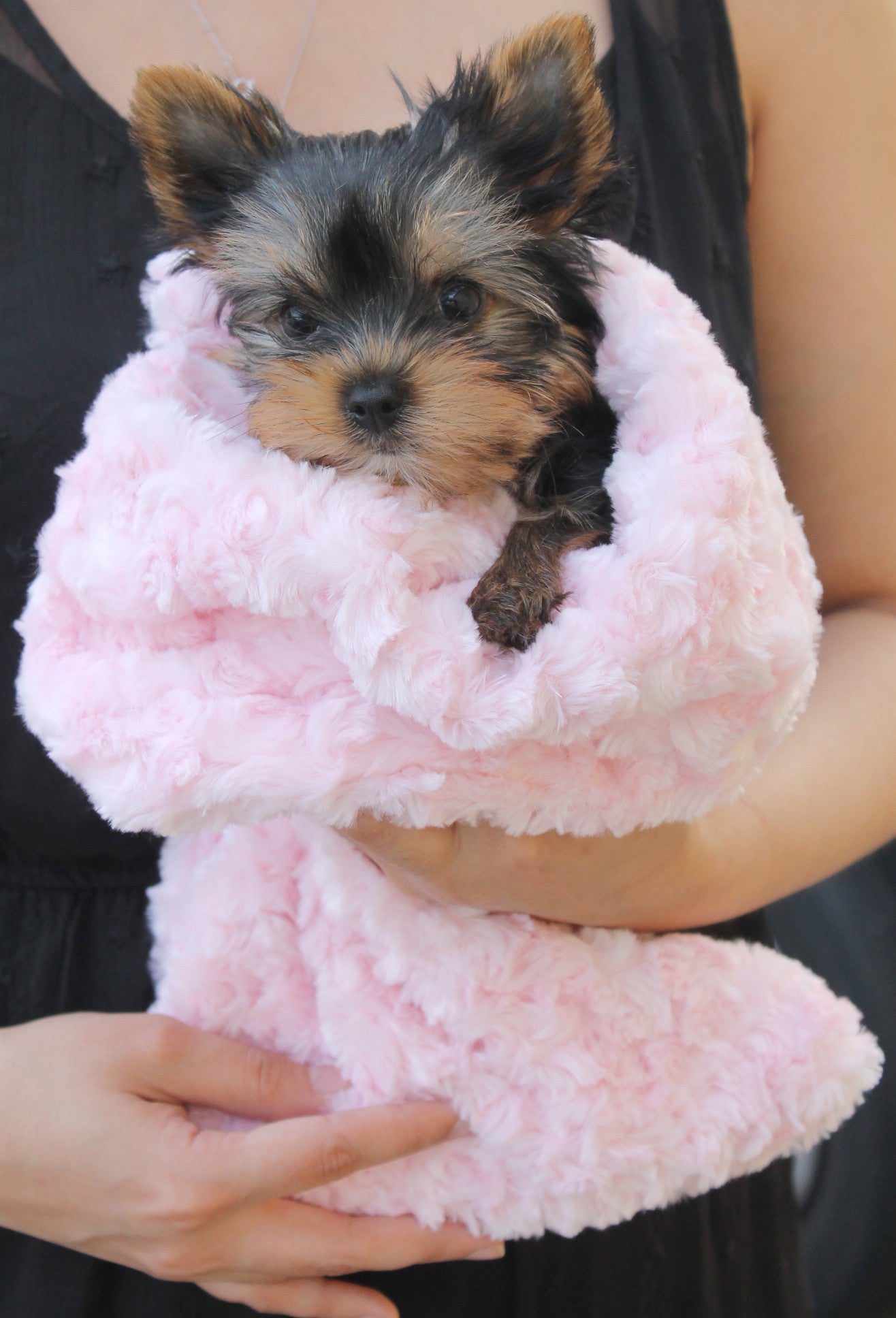 snuggle, pup, sleeping, bag, blanket, dog, doggie, hello, baby, puppy, teacup, tiny, small, luxury, pet, warm, zipper, rosebud, puppies, plush, mat, handcrafted, handmade, made in usa, usa, dreamy, doggy, cuddly, comfy, comfort, blue, pink, cream, tan, chocolate,