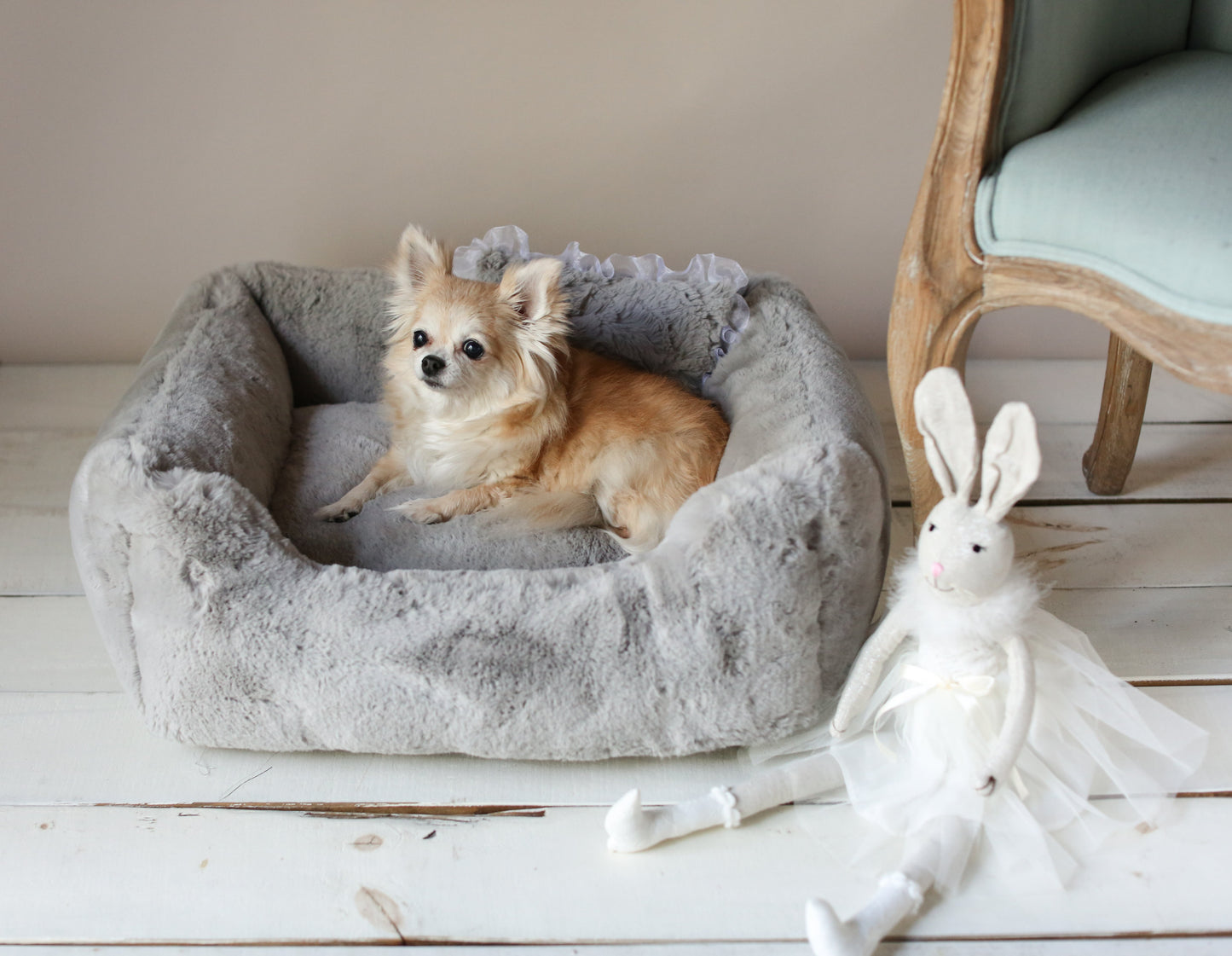 The Divine Dog Bed